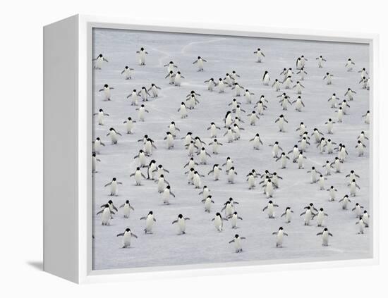 Group Dance-Art Wolfe-Framed Premier Image Canvas