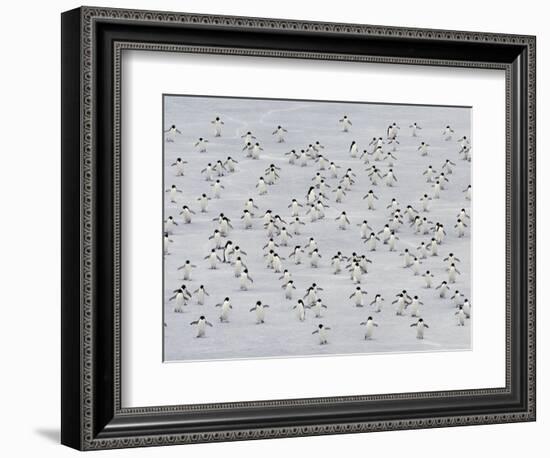 Group Dance-Art Wolfe-Framed Photographic Print