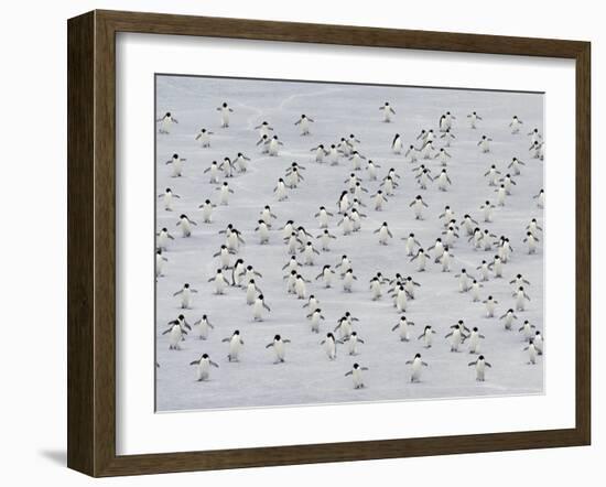 Group Dance-Art Wolfe-Framed Photographic Print