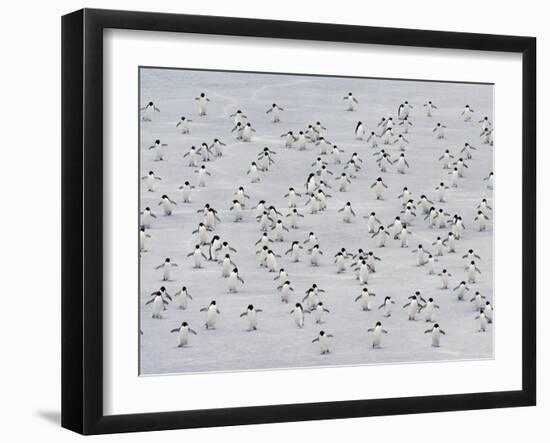 Group Dance-Art Wolfe-Framed Photographic Print