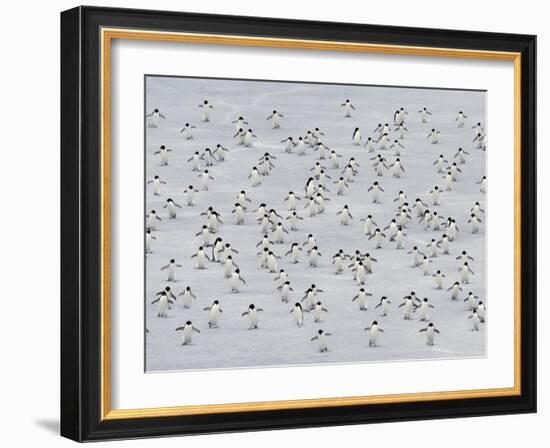 Group Dance-Art Wolfe-Framed Photographic Print