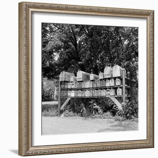 Group of 37 Rural Delivery Mailboxes at Side of Country Road-null-Framed Photographic Print