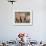 Group of African Elephant (Loxodonta Africana) from the Rear, Addo Elephant National Park, South Af-James Hager-Framed Photographic Print displayed on a wall