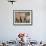 Group of African Elephant (Loxodonta Africana) from the Rear, Addo Elephant National Park, South Af-James Hager-Framed Photographic Print displayed on a wall