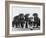 Group of Alsatian Puppies-Thomas Fall-Framed Photographic Print