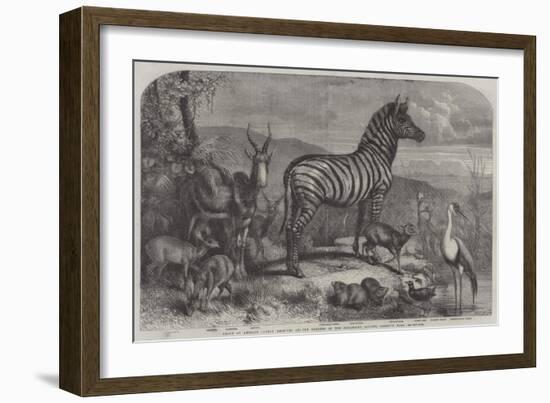 Group of Animals Lately Received at the Gardens of the Zoological Society, Regent's Park-Johann Baptist Zwecker-Framed Giclee Print