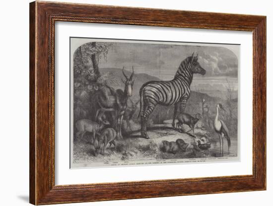 Group of Animals Lately Received at the Gardens of the Zoological Society, Regent's Park-Johann Baptist Zwecker-Framed Giclee Print