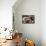 Group of California Sea Lions Sun Bathing on the Floating Docks in San Francisco-wollertz-Framed Premier Image Canvas displayed on a wall