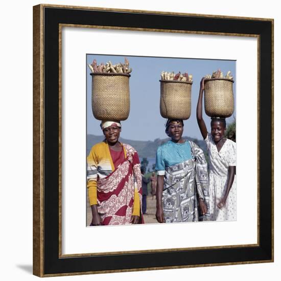Group of Cheerful Women Carry Sweet Potatoes to Market in Traditional Split-Bamboo Baskets-Nigel Pavitt-Framed Photographic Print