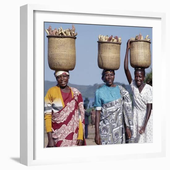 Group of Cheerful Women Carry Sweet Potatoes to Market in Traditional Split-Bamboo Baskets-Nigel Pavitt-Framed Photographic Print