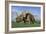 Group of Dinosaurs Grazing in a Grassy Field-Stocktrek Images-Framed Art Print