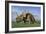 Group of Dinosaurs Grazing in a Grassy Field-Stocktrek Images-Framed Art Print