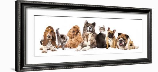 Group of Dogs and Cat Different Breeds, Cat and Dog-Lilun-Framed Photographic Print