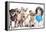 Group Of Dogs Dressed-Up : 5 Chihuahuas And A Shih Tzu-Life on White-Framed Premier Image Canvas