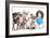 Group Of Dogs Dressed-Up : 5 Chihuahuas And A Shih Tzu-Life on White-Framed Photographic Print