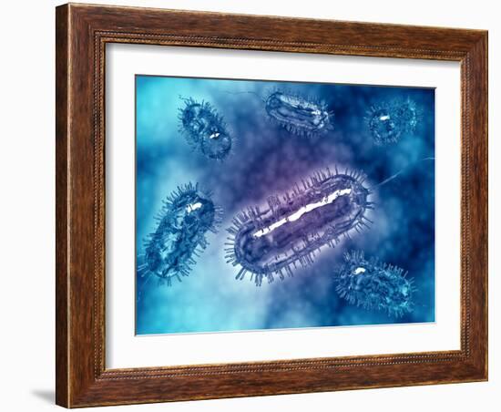 Group of Escherichia Coli Bacteria Cells, known as E. Coli-null-Framed Art Print