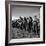 Group of Fairly Well Equipped Male and Female Resistance Fighters, Called the Andartes-Dmitri Kessel-Framed Photographic Print