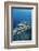 Group of Fish Swimming in Sea-Michele Westmorland-Framed Photographic Print