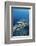 Group of Fish Swimming in Sea-Michele Westmorland-Framed Photographic Print