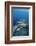 Group of Fish Swimming in Sea-Michele Westmorland-Framed Photographic Print
