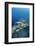 Group of Fish Swimming in Sea-Michele Westmorland-Framed Photographic Print