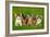 Group of Five Little Kittens Sitting on the Grass-Grigorita Ko-Framed Photographic Print