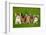 Group of Five Little Kittens Sitting on the Grass-Grigorita Ko-Framed Photographic Print