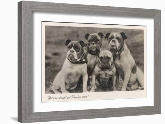 Group of Four Bulldogs Sitting Close Together-null-Framed Art Print