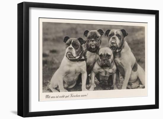 Group of Four Bulldogs Sitting Close Together-null-Framed Art Print