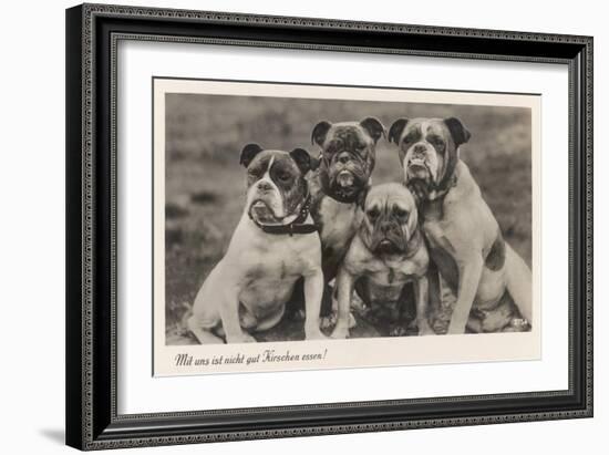 Group of Four Bulldogs Sitting Close Together-null-Framed Art Print