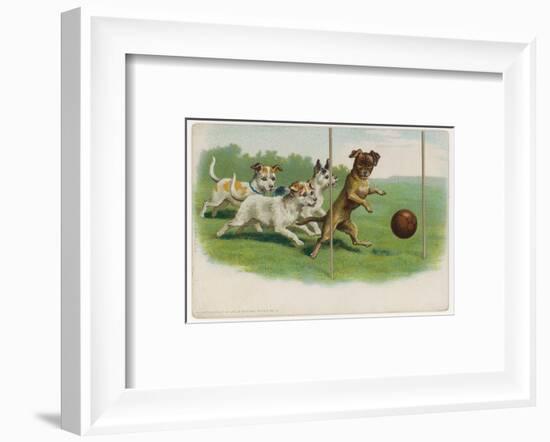 Group of Four Dogs Play a Lively Game of Football One of Them is About to Score a Goal-null-Framed Photographic Print