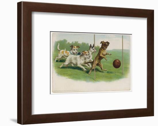 Group of Four Dogs Play a Lively Game of Football One of Them is About to Score a Goal-null-Framed Photographic Print