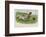 Group of Four Dogs Play a Lively Game of Football One of Them is About to Score a Goal-null-Framed Photographic Print