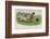 Group of Four Dogs Play a Lively Game of Football One of Them is About to Score a Goal-null-Framed Photographic Print