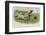 Group of Four Dogs Play a Lively Game of Football One of Them is About to Score a Goal-null-Framed Photographic Print