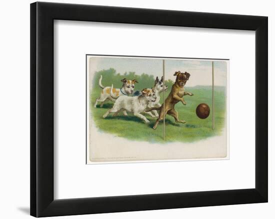 Group of Four Dogs Play a Lively Game of Football One of Them is About to Score a Goal-null-Framed Photographic Print