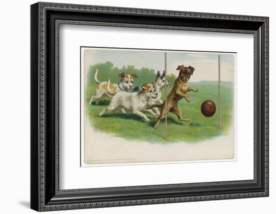 Group of Four Dogs Play a Lively Game of Football One of Them is About to Score a Goal-null-Framed Photographic Print