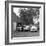 Group of Friends with their Cars, Mexborough, South Yorkshire, 1965-Michael Walters-Framed Photographic Print