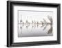 Group of Great Egrets (Ardea Alba) Reflected in Still Water-Bence Mate-Framed Photographic Print