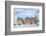 Group of Grey partridge huddled for warmth in snowy field-Edwin Giesbers-Framed Photographic Print