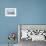 Group of Grey partridge huddled for warmth in snowy field-Edwin Giesbers-Framed Photographic Print displayed on a wall