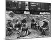 Photographic Print