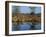 Group of Impala Drinking by a Water Hole, Kruger National Park, South Africa-Paul Allen-Framed Photographic Print