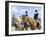 Group of Jockeys Sitting on Horses-null-Framed Photographic Print