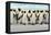 Group of King Penguins Coming Back Together from Sea to Beach with Wave a Blue Sky, Volunteer Point-Ondrej Prosicky-Framed Premier Image Canvas