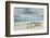 Group of King Penguins on beach, Volunteer Point, East Island, Falkland Islands-Adam Jones-Framed Photographic Print