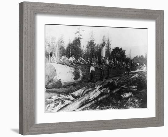 Group of Lumberjacks on Large Log Photograph - Cascades, WA-Lantern Press-Framed Art Print