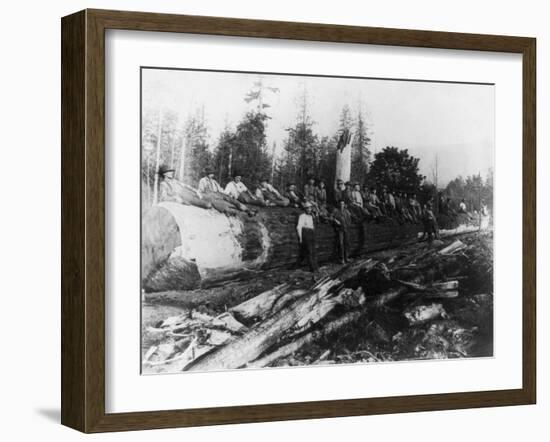 Group of Lumberjacks on Large Log Photograph - Cascades, WA-Lantern Press-Framed Art Print