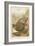 Group of Mixed Flat Fish: Halibut Turbot Flounder Plaice and Sole-P. J. Smit-Framed Art Print