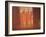 Group of Monks, Vietnam-Lincoln Seligman-Framed Giclee Print